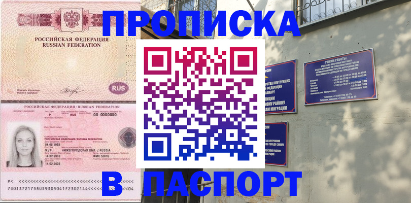 прописка в Электрогорске